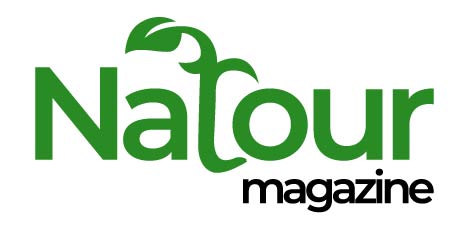 Forum Natura Logo