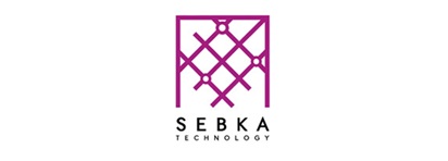 PAST VIEW Logo